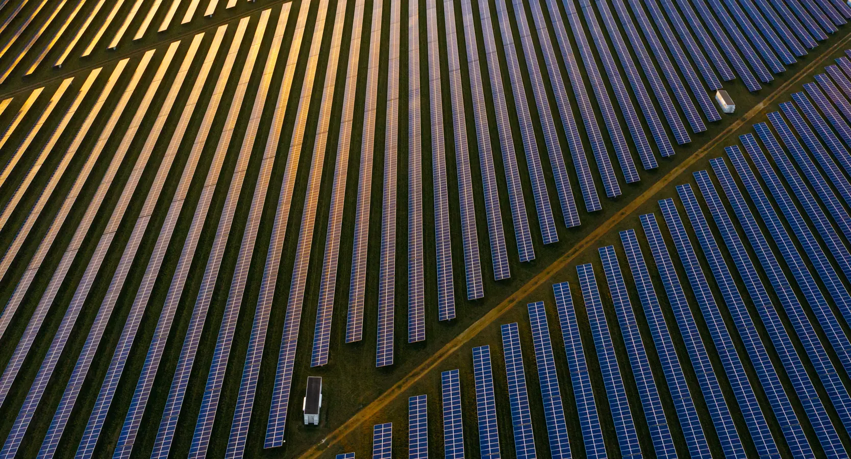An aerial image of a solar power plant with the sun reflecting in multiple of the panels created  by Unicus. 